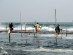 Stilts_fishermen_Sri_Lanka_02